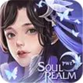 Soul Realm