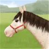 Horse Stable Tycoon