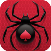 Spider Solitaire: Card Games