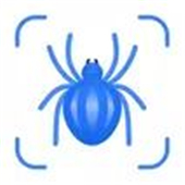 Picture Insect: Bug Identifier