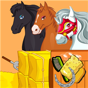 Horse Grooming Salon