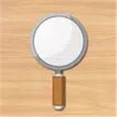 Smart Magnifier