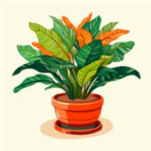 Plant Tycoon - Grow Plants