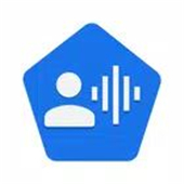 Google Voice Access