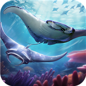 Top Fish: Ocean Game