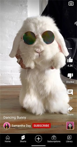 油管官方正版 screenshot 油管官方正版 screenshot