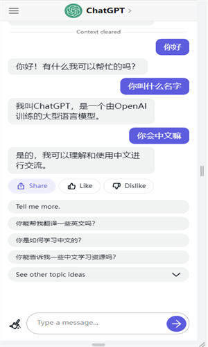 ChatGPT5.0 screenshot