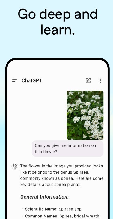 Chat GPT中文 screenshot