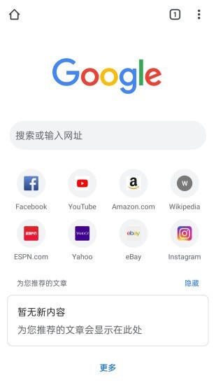 Chrome浏览器 screenshot