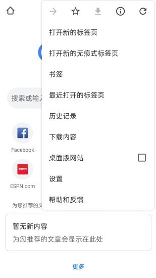 Chrome浏览器 screenshot