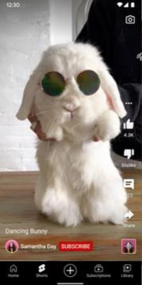 YouTube油管免费版 screenshot YouTube油管免费版 screenshot