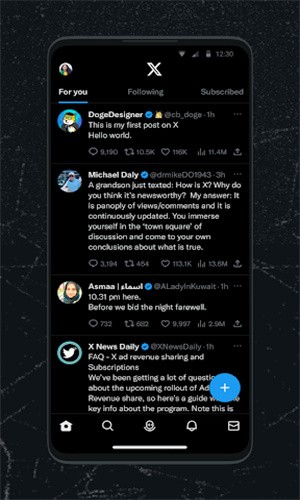 X screenshot X screenshot