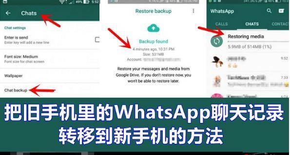 WhatsApp安卓版下载