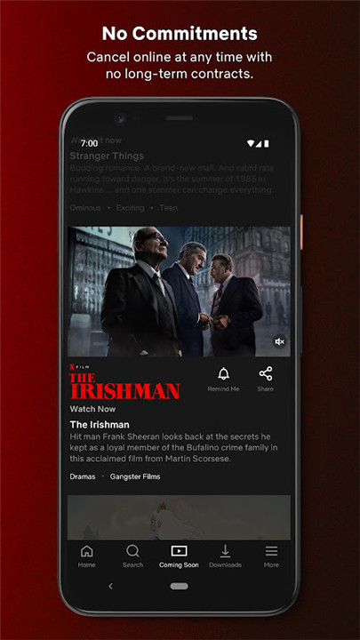 Netflix screenshot