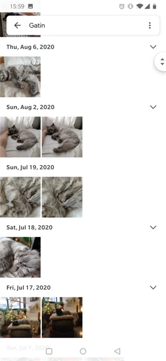 Google Photos screenshot