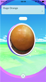 Pokémon GO screenshot