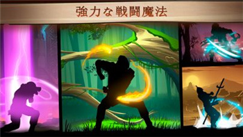 Shadow Fight 2