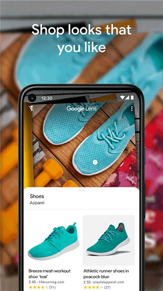 Google Lens screenshot