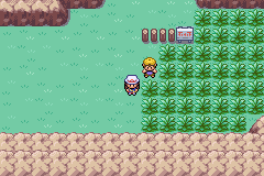 Pokemon Leaf Green screenshot