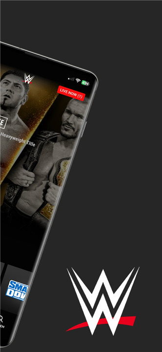 WWE screenshot