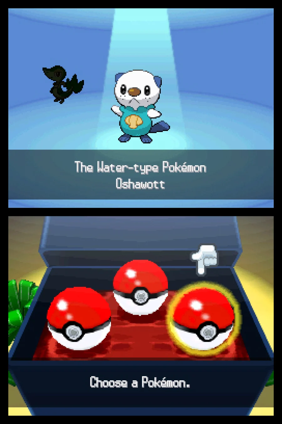 Pokemon Black screenshot