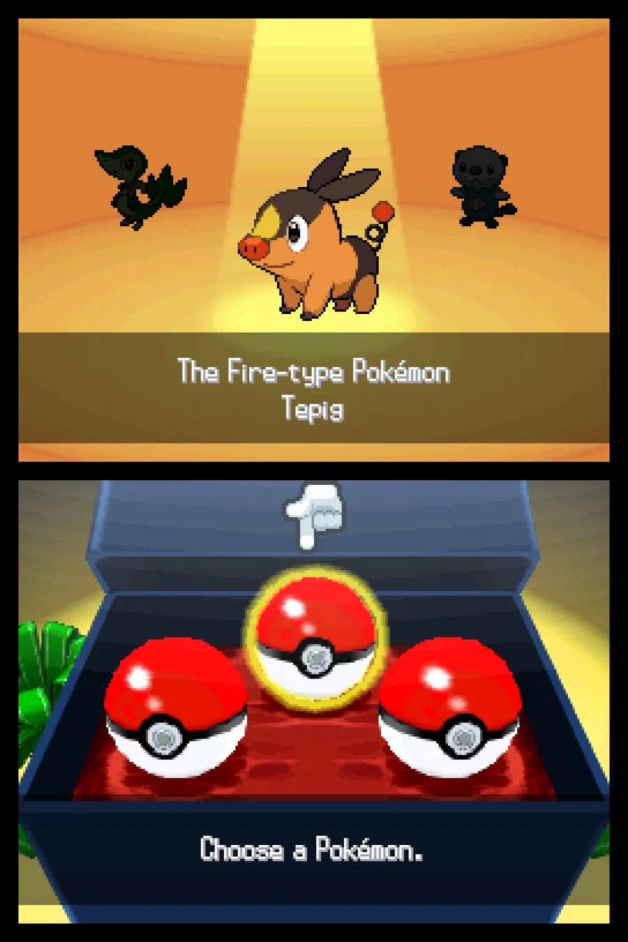 Pokemon Black screenshot