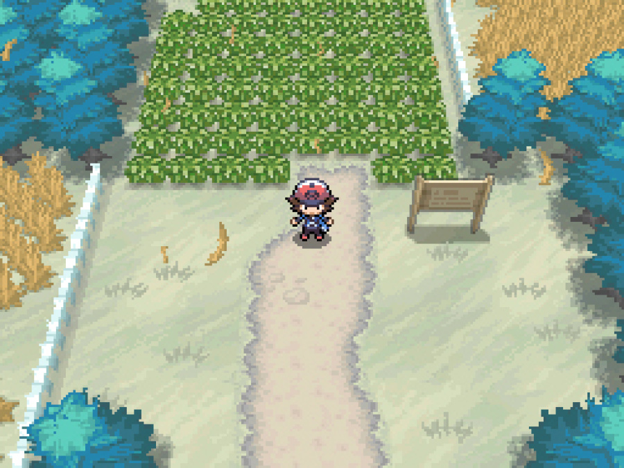 Pokemon Black screenshot