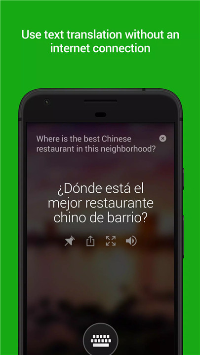 Microsoft Translator screenshot