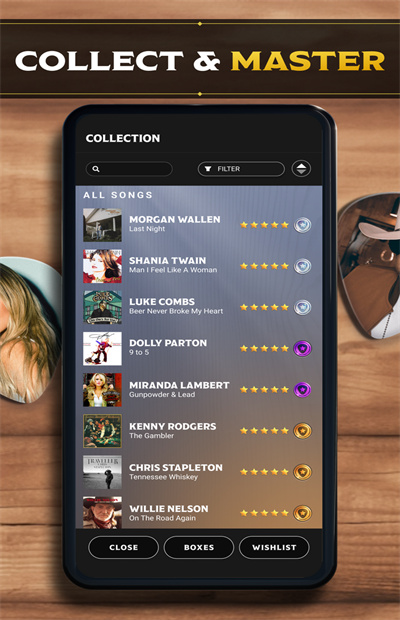 Country Star: Music Game screenshot