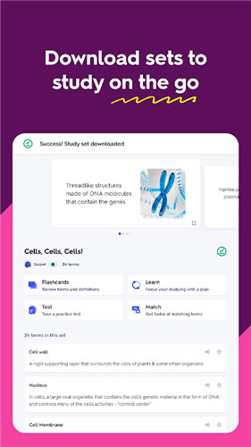 Quizlet screenshot