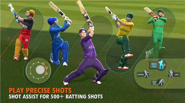 Real Cricket 24 screenshot