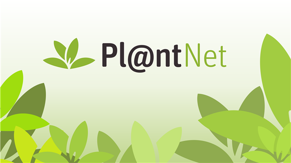 PlantNet screenshot