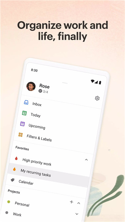 Todoist screenshot