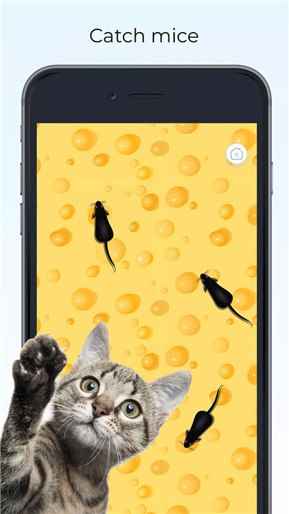 Meow - Cat Toy Games for Cats screenshot