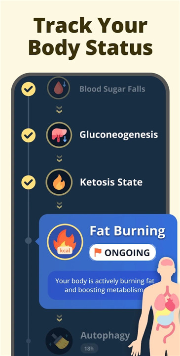 Fasting - Intermittent Fasting screenshot