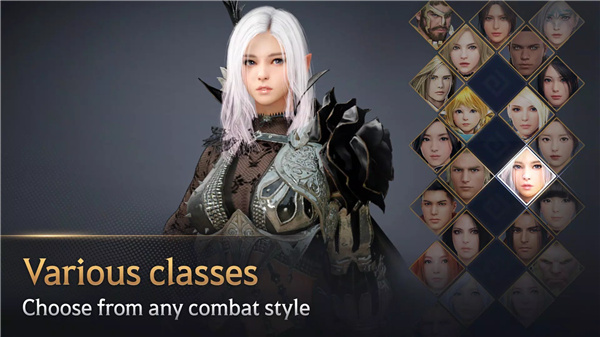 Black Desert Mobile screenshot