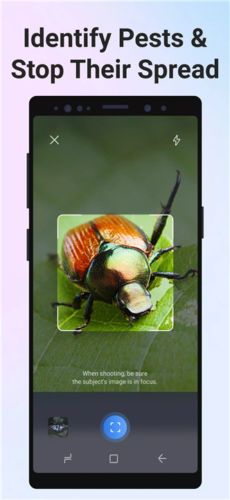 Picture Insect screenshot