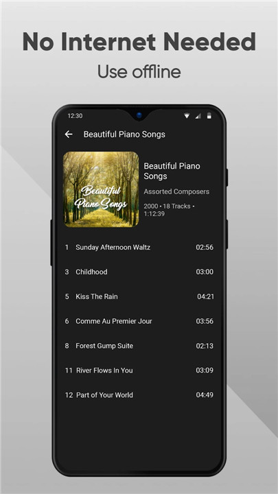 Simple Music Player screenshot