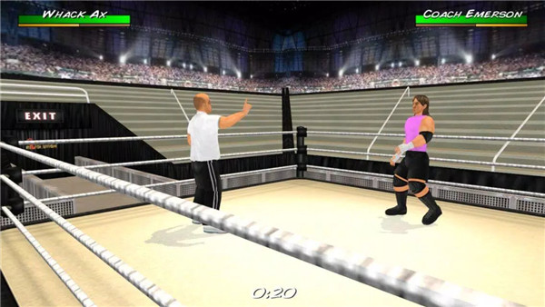 Wrestling Revolution 3D screenshot