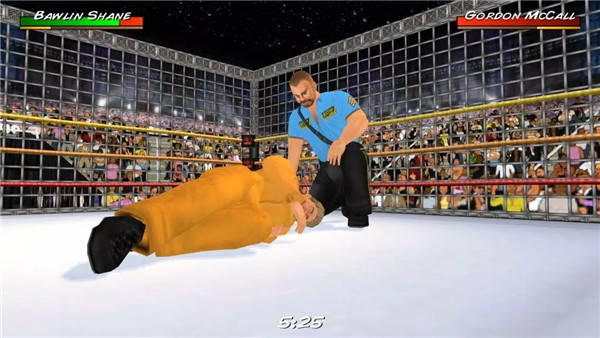 Wrestling Revolution 3D screenshot