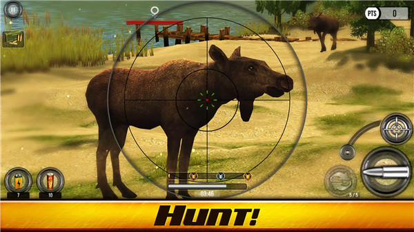 Wild Hunt: Hunting Games 3D