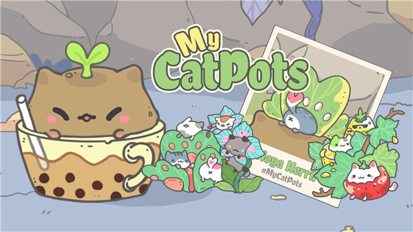 My CatPots