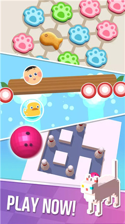 MyPet House: Animal Home Decor