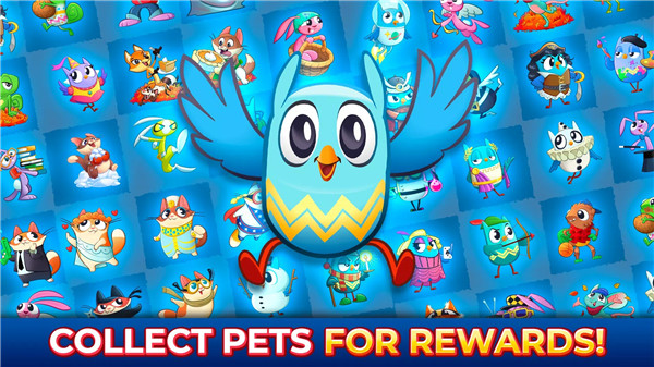 Bingo Pop: Play Live Online