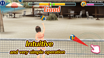 Beach Volleyball Paradise screenshot