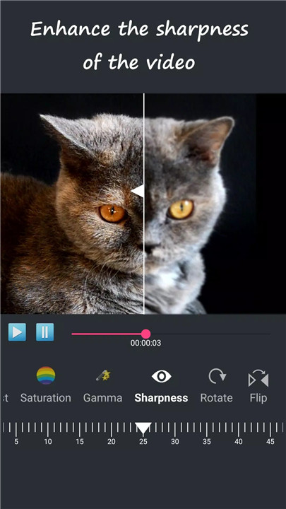 Video Brightness Enhancer screenshot