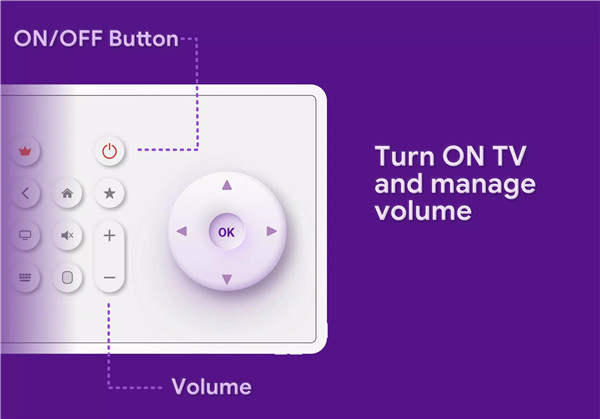 Roku Remote TV