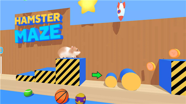 Hamster Maze
