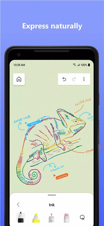 Microsoft Whiteboard screenshot