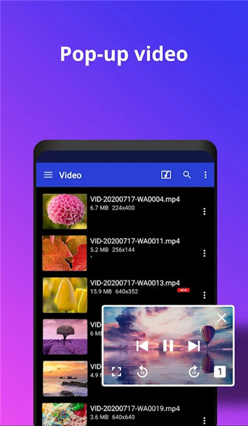 Video Player All Format screenshot